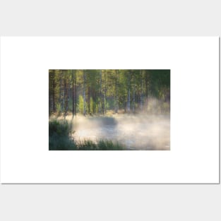 Small forest pond at sunrise Posters and Art